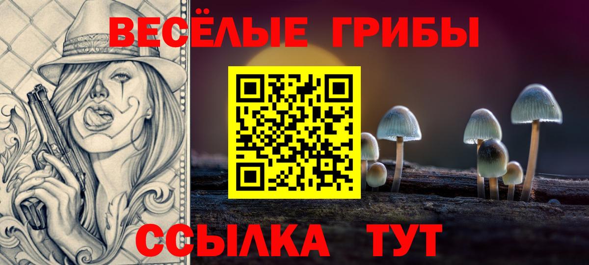 где купить наркотик  Галлюциногенные грибы GOLDEN TEACHER  Вход с VPN  Мурино  Галлюциногенные грибы прущие грибы 